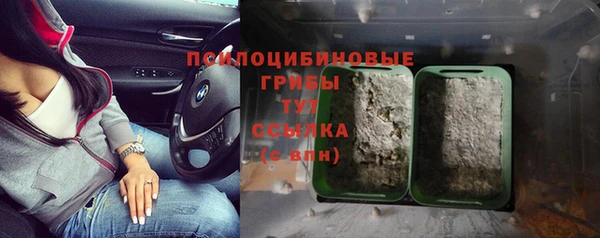 ECSTASY Майский