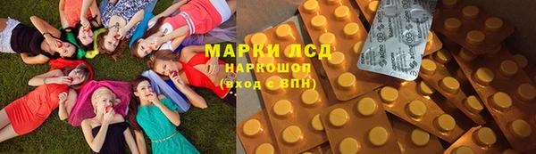 ECSTASY Майский