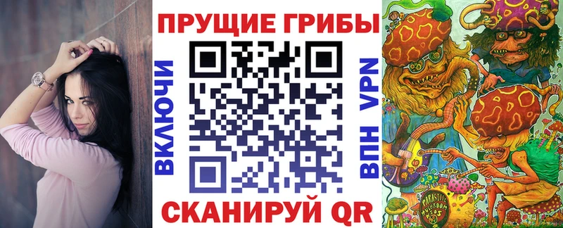 Галлюциногенные грибы мицелий  Купить где  Петровск 
